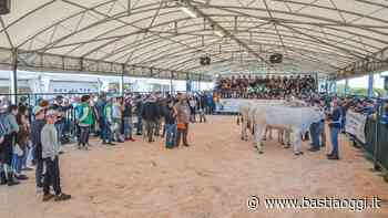 Appello per il Centro Fiere di Bastia, Modena, questo lo stato dell'arte - Bastia Oggi