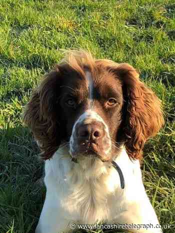 Two arrested in Burnley after cash and drugs found