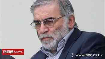 Mohsen Fakhrizadeh: What were the motives behind his killing?