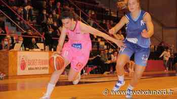 Basket : d'Arras à Orchies, les clubs en savent un peu plus sur la reprise - La Voix du Nord