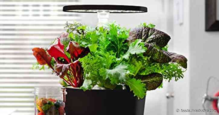 Add life to your countertop with $65 off this Aerogarden system