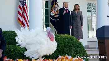 Opinion: Trump transition show is jumping the shark