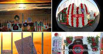 Stunning seafront tributes left in memory of photographer Dean Matthews