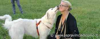 Erba, soffrono anche i cani del canile Il Comune cerca un educatore cinofilo - La Provincia di Como