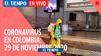 En vivo: 183 muertes y 8.763 nuevos casos de coronavirus en Colombia - ElTiempo.com