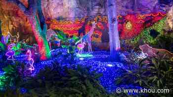 Houston Zoo Lights, Festival of Lights at Moody Gardens canceled Saturday due to weather - KHOU.com