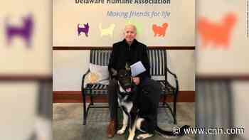 Joe Biden twists ankle while playing with his dog, Major