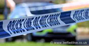Boy, 14, suffers "serious facial injuries" in alleged gang assault - Belfast Live