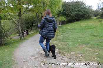 'Don't just keep ringing your bell, show walkers respect'