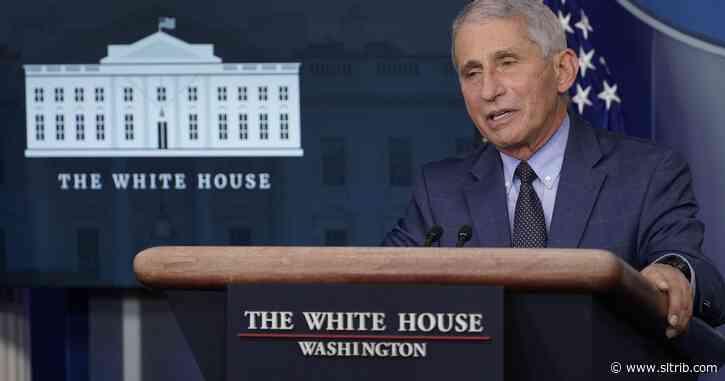 Fauci: U.S. may see ‘surge upon surge’ of virus in coming weeks