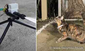 Perth man sets up spray trap to stop his neighbours cats pissing in his yard 