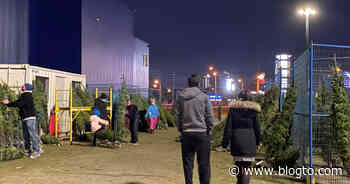 IKEA has been giving away hundreds of free Christmas trees in Toronto - blogTO