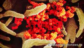 New COVID-19 infections reported at 2 Saskatoon high schools - CTV News Saskatoon