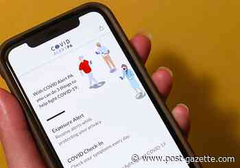 Pa.'s COVID app tops 600,000 downloads so far