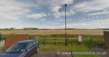 Dozens of new homes approved for Wallsend