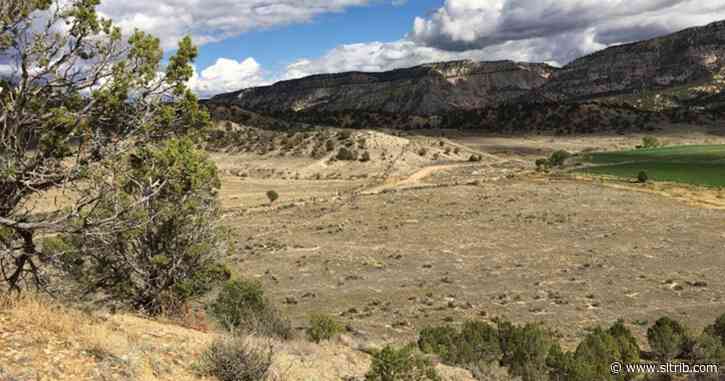 Kane County looking to dam the Virgin River in latest major project