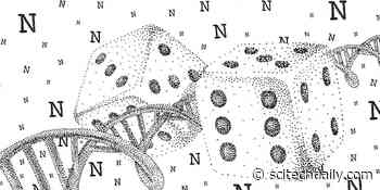 Biochemical Random Number: Scientists Have Generated a Huge True Random Number Using DNA Synthesis