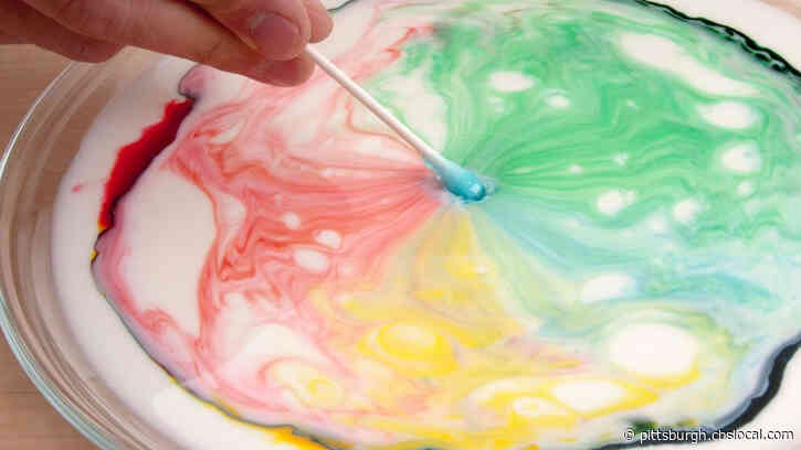 STEM Fest Interactive: Milk Color Explosion
