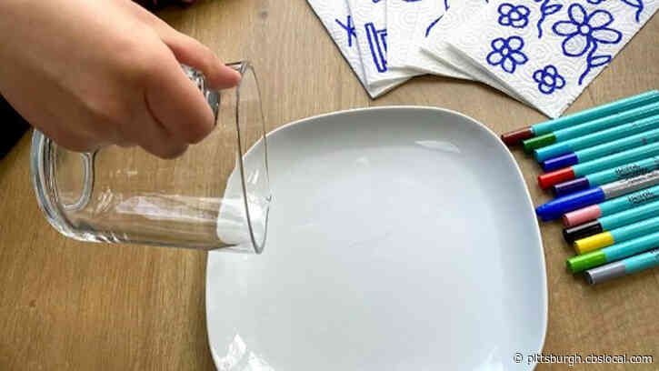 STEM Fest Interactive: Magic Paper Towel Experiment