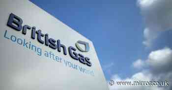 British Gas engineers expecting 200,000 callouts to fix broken heating over Xmas