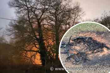 Scadbury Park: Volunteer plea after increasing vandalism