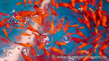 Managementvordenker Henry Mintzberg: Das Unternehmen als Gemeinschaft