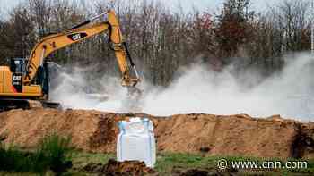Denmark to dig up thousands of dead mink after carcasses emerge from mass graves