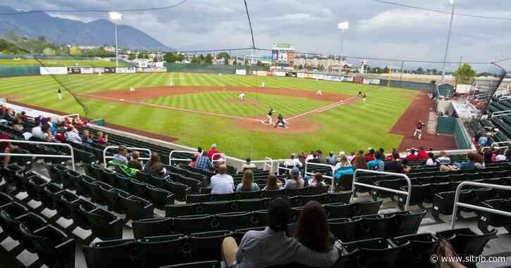 Ogden Raptors remain, while the Orem Owlz move to Colorado