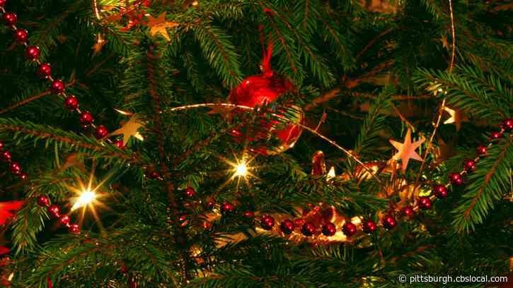 Multiple Elizabeth Township Residents Report Damaged, Vandalized Holiday Decorations