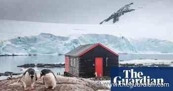 Why the penguin post office is desperate for some non-feathered customers