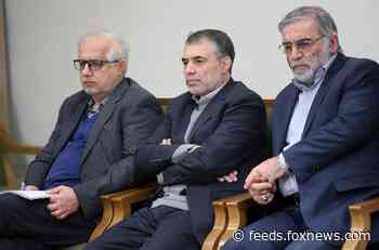 European Union condemns killing of Iranian scientist as 'criminal act'