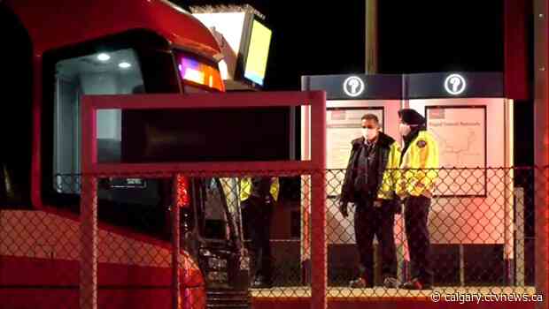 Service disrupted at Whitehorn LRT Station after pedestrian struck by train