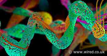 Coronavirus triggered a healthcare AI boom. Was it worth it?