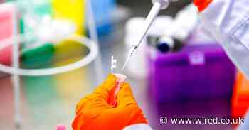 The top five coronavirus vaccine candidates explained