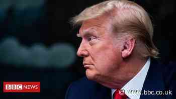 Trump presidency's final days: 'In his mind, he will not have lost'