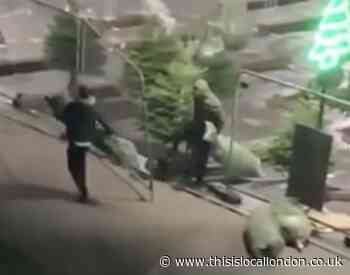CCTV captures thieves stealing Christmas trees in Wimbledon