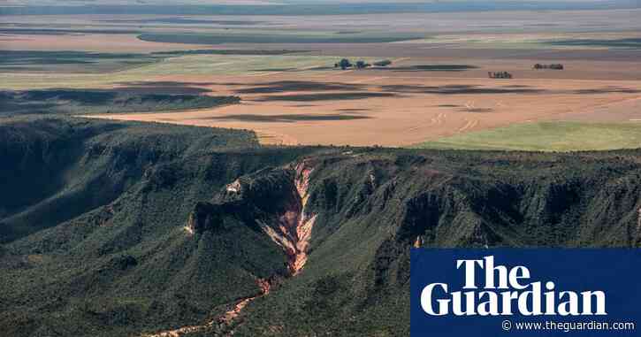 UK imported 1m tonnes of soya with deforestation risk in 2019