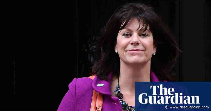 No 10 accused of  'cavalier attitude' to UK's climate summit duties