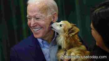 Pets will soon make a return to the White House