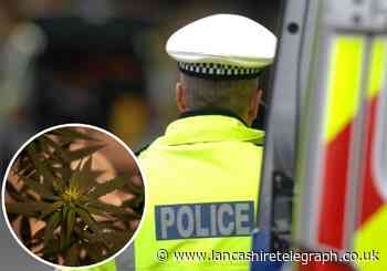 Two men to appear in court after "large quantity" of cannabis plants discovered