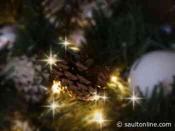 Holiday Pic of the Day: Louise Joyal