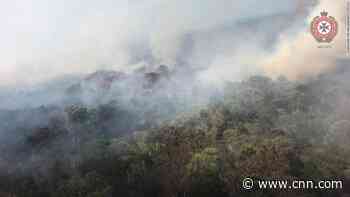 A unique ecosystem is on fire