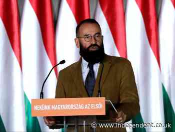 Brussels ‘sex party’: Hungarian MEP admits breaking Covid rules at gathering
