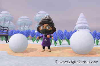 Animal Crossing: New Horizons snowboy guide