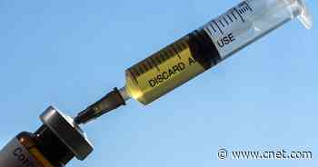 Two vaccines for COVID-19 may be ready by the end of 2020. Here's what to know     - CNET