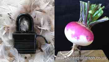 Gardener from Devon wins spoof Turnip Prize art award