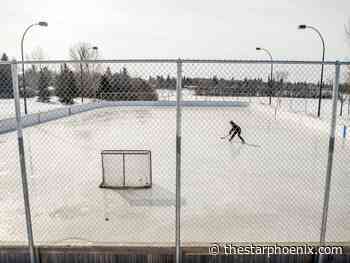 Councillors unhappy with decision to remove outdoor hockey nets