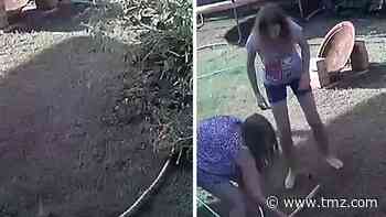 Puppy Attacked by Python in Australia