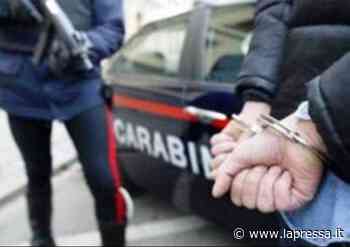 Modena: blitz in casa dello spacciatore, maxi sequestro e arresto - La Pressa