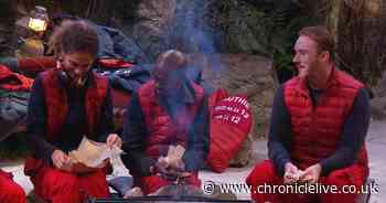 Two more go in SECOND brutal double eviction on I'm A Celebrity